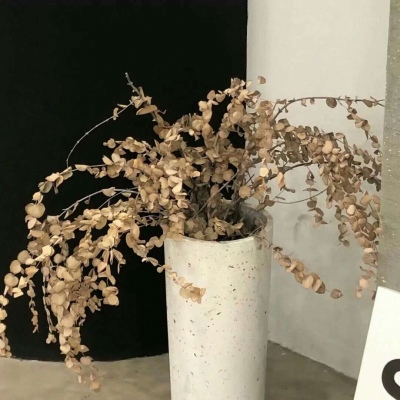 Furry角色比例设计技巧FurryQQ群